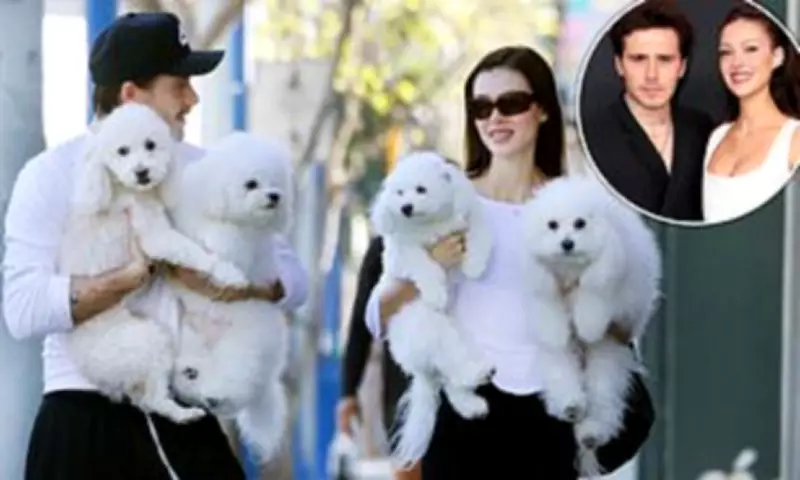 Brooklyn Beckham's Privacy Plea Contradicted by Frequent Paparazzi Appearances