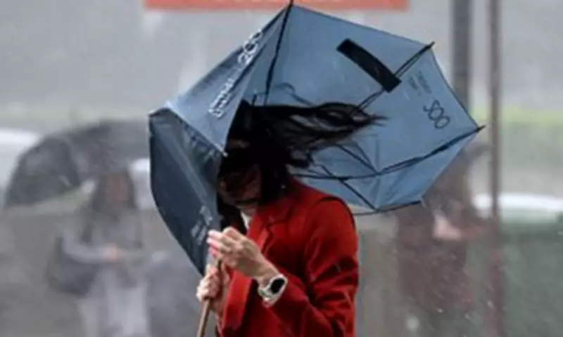 Bureau of Meteorology's $100M Website Fails During South Australia's Severe Storms