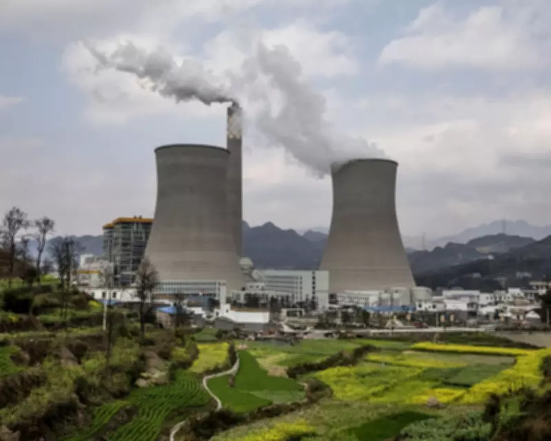 Businesses Face Collapse Unless They Protect Nature, Major Report Warns