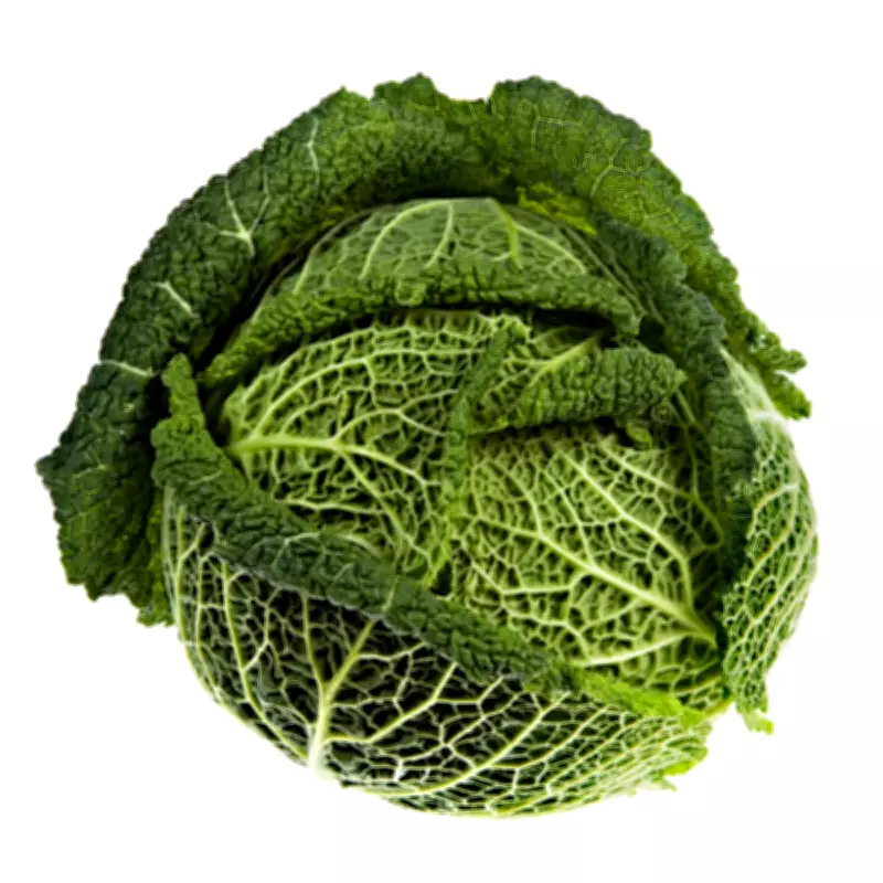 Cabbagecore: The Humble Brassica's Rise as a Fashion and Lifestyle Icon