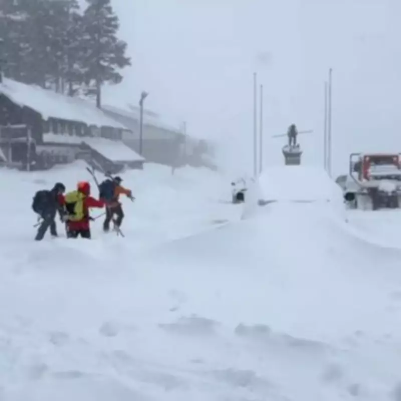 California Avalanche Rescue: Six Skiers Found Alive, Nine Remain Missing
