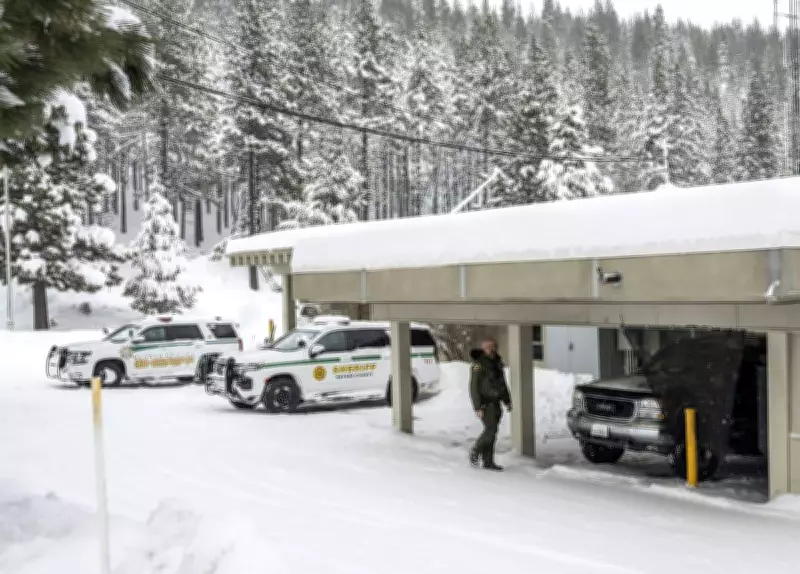 California Avalanche Victims Identified After Tragic Sierra Nevada Incident