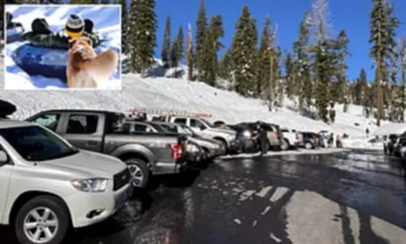 California's Alpine County Residents Feel 'Held Hostage' by Snow Tourist Chaos