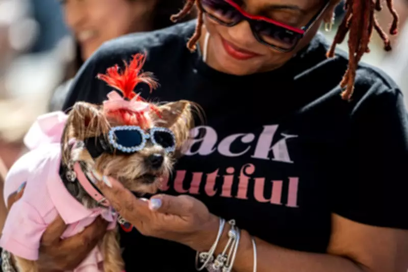 Canine Cancer Survival Linked to Gut Bacteria in Groundbreaking Study