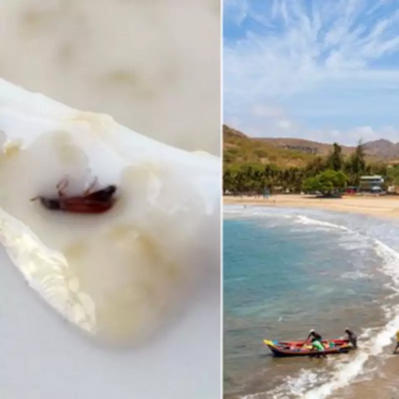 Cape Verde Health Crisis: Six British Tourists Dead, Over 150 Ill