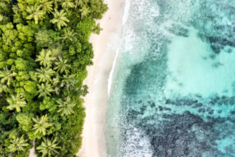 CDC Issues Level 2 Travel Warning for Seychelles Over Chikungunya Outbreak