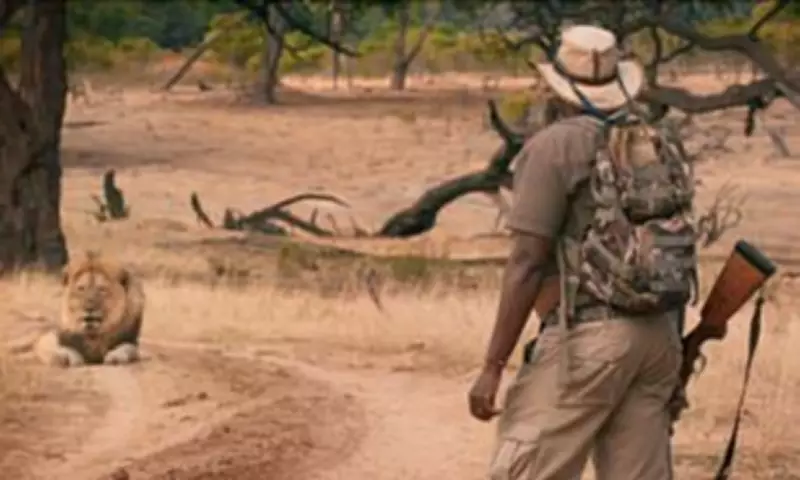 Cecil the Lion Documentary Revisits Trophy Hunting Scandal 11 Years Later