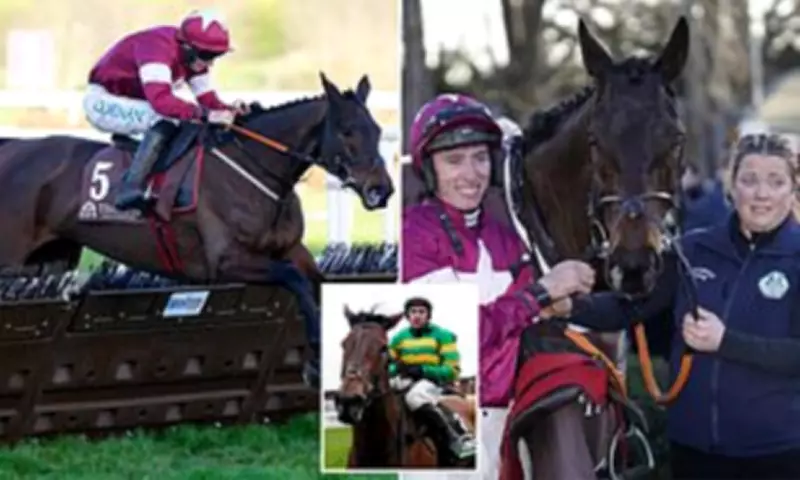 Cheltenham Champion Hurdle: A Wide-Open Betting Puzzle with Trust Issues