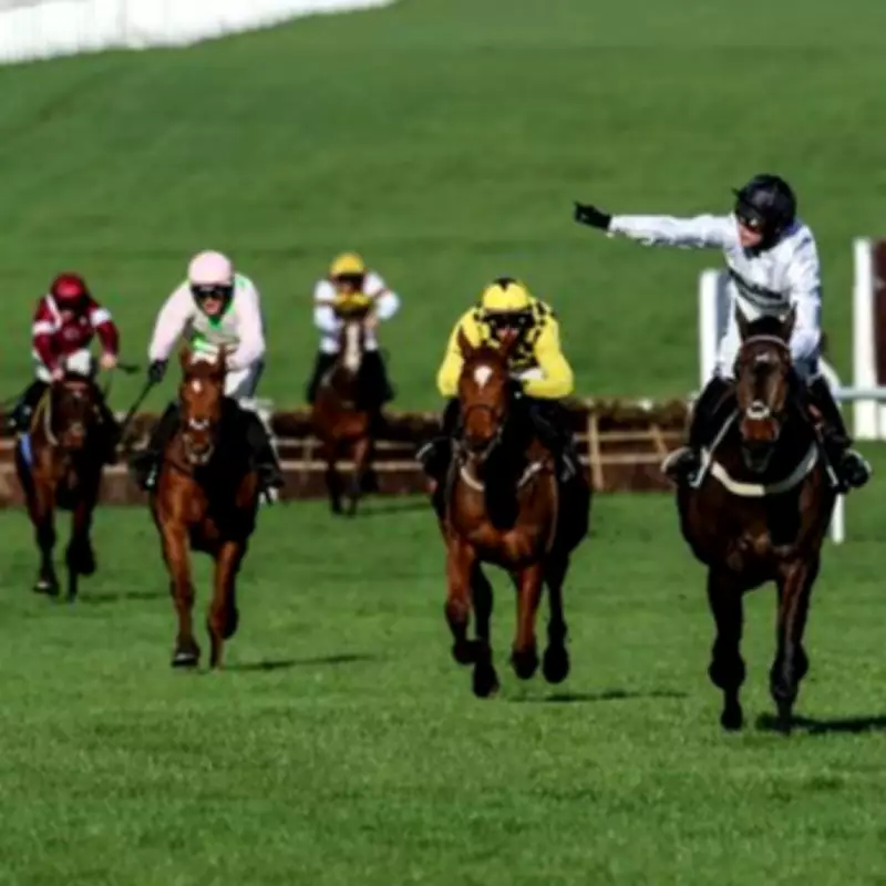 Cheltenham Festival 2026: Dates, Schedule, How to Watch and Early Favourites