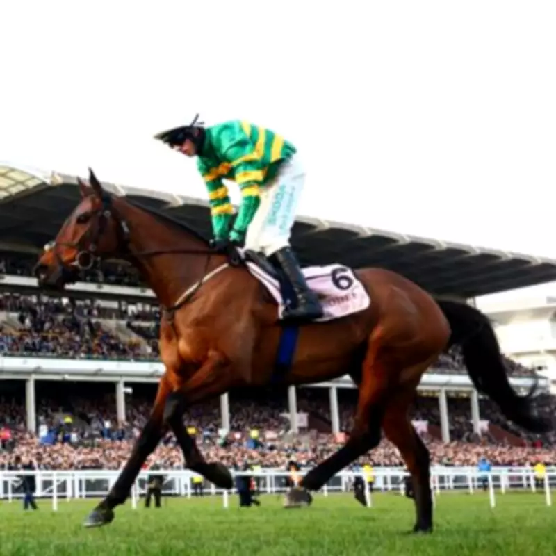 Cheltenham Festival 2026 Tickets: Dates, Prices and Where to Buy