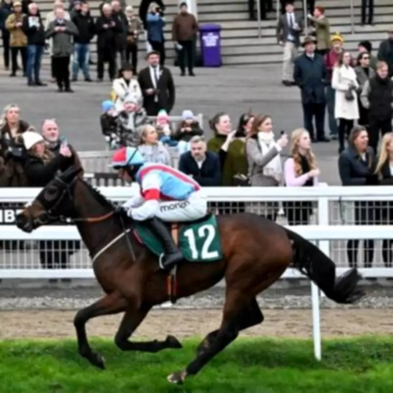 Cheltenham Festival Contender Saint Clovis Dies Suddenly in Training