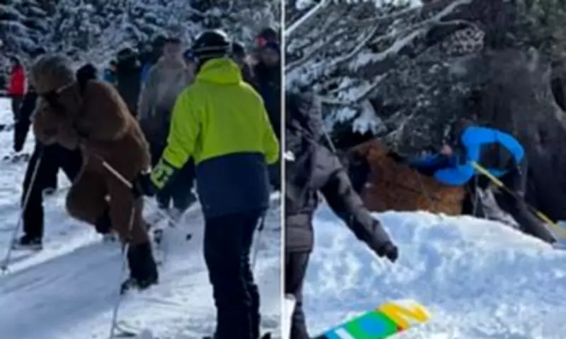 Chewbacca Skier Beaten in French Alps Brawl After Snowball Attack