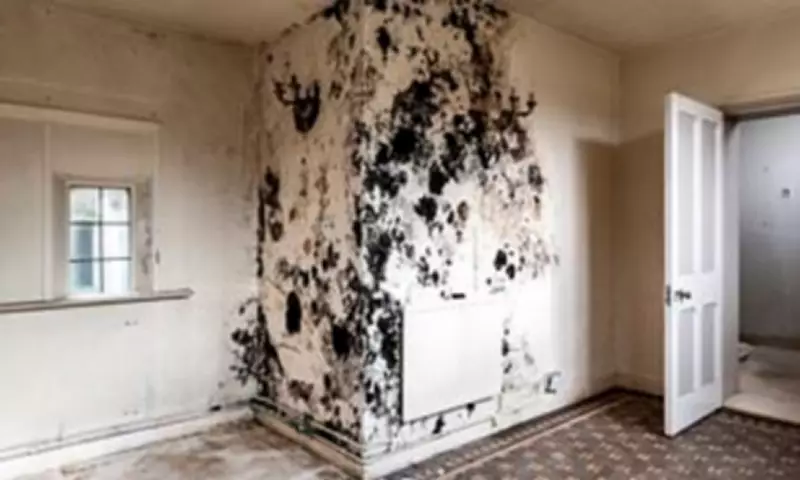 Childhood Mould Exposure Causes Lifelong Lung Damage, Major Study Reveals