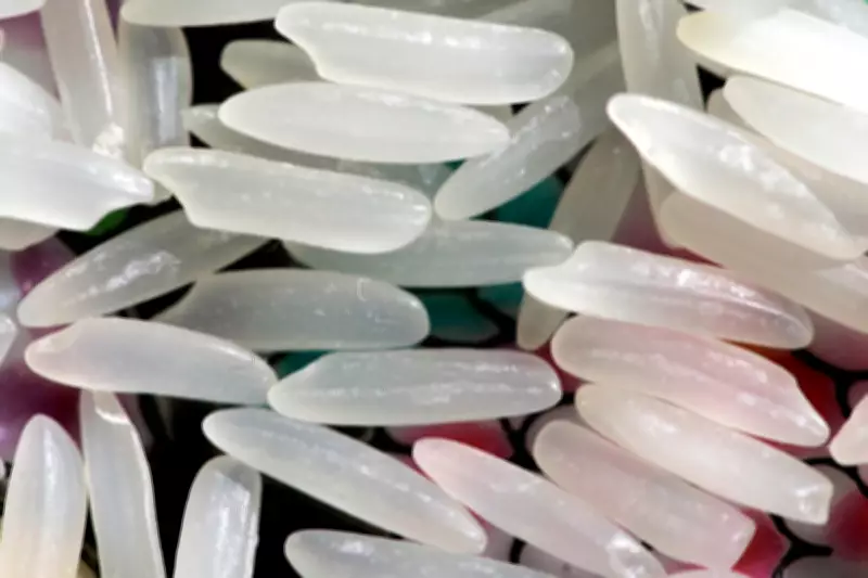 Chilling Carbs for Weight Loss: The Science Behind Retrogradation