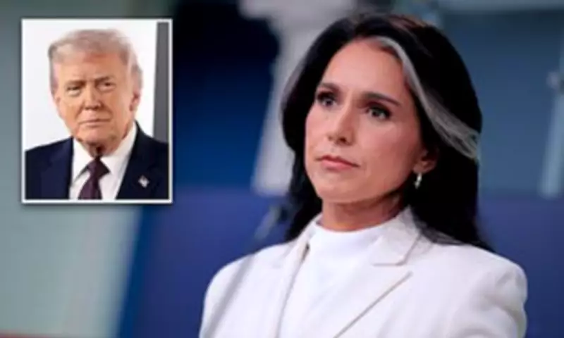 Classified Whistleblower Complaint Against Trump's Spy Chief Tulsi Gabbard Sparks Security Debate