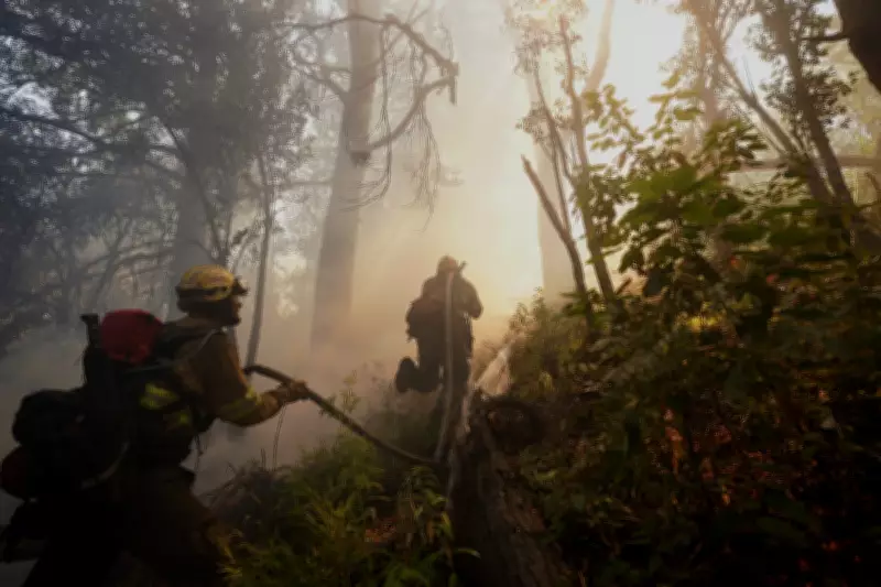 Climate Change Tripled Wildfire Risk in Chile and Argentina, Study Reveals