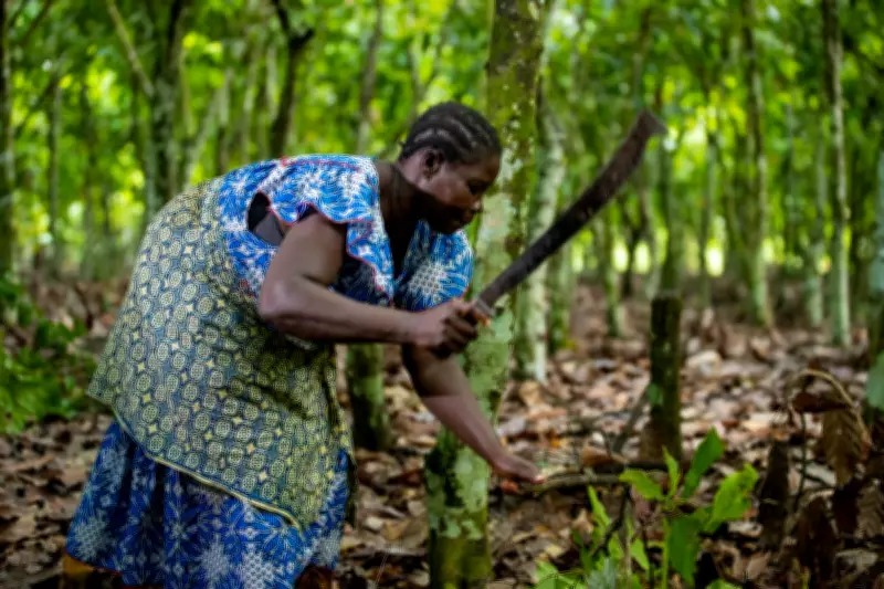 Climate Crisis Imperils Global Food Supply, Demands Urgent UK Legislation