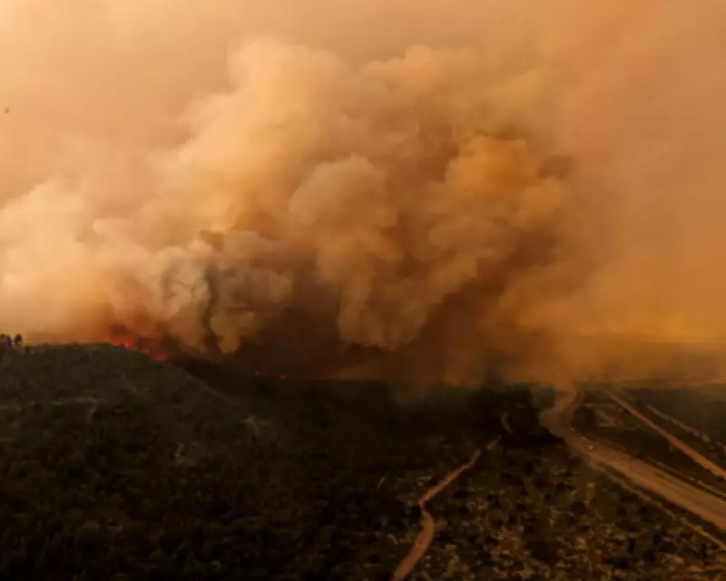 Climate-Fuelled Wildfires Ravage Ancient Forests in Patagonia