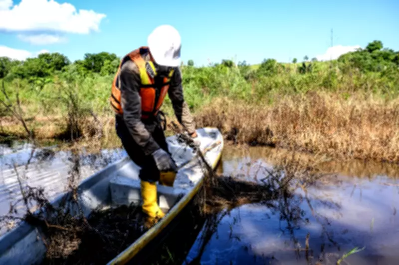 Colombian Wetlands Crisis: Oil Spills and Armed Gangs Threaten Endangered Species