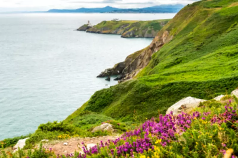 Common Travel Area: Passport-Free Travel Guide Amid Renewal Delays