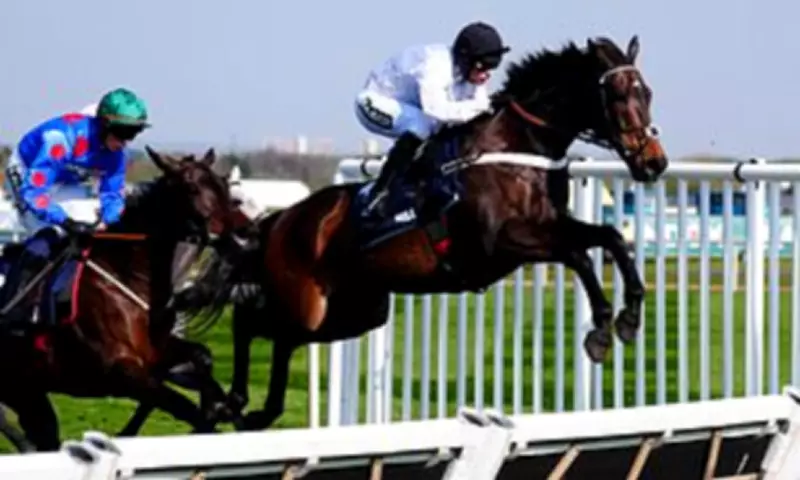 Constitution Hill Retired from Hurdling After Henderson's Tough Decision