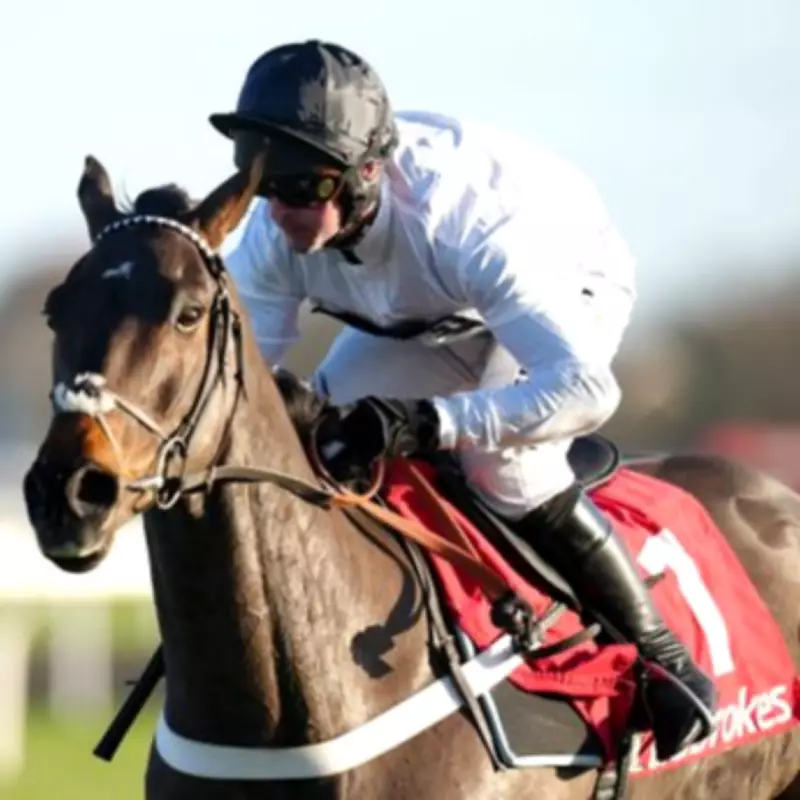 Constitution Hill Set for Flat Debut at Southwell with Ryan Moore Riding