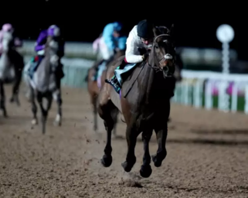 Constitution Hill Switches to Flat Racing, Skips Champion Hurdle