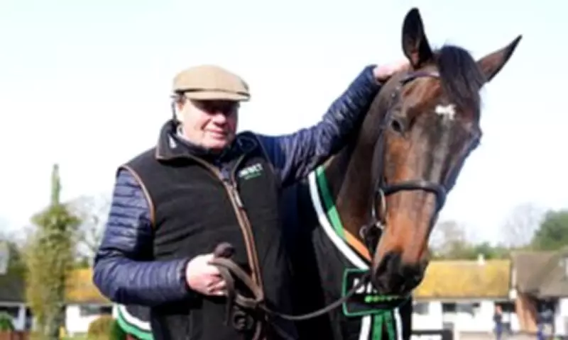 Constitution Hill Withdrawn from Cheltenham Festival Amid Safety Concerns