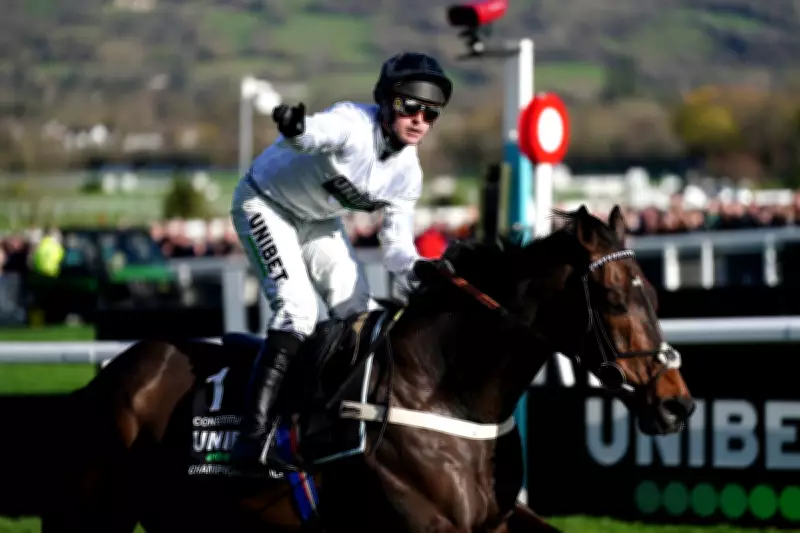 Constitution Hill Withdrawn from Cheltenham's Champion Hurdle, Ending Jumping Career