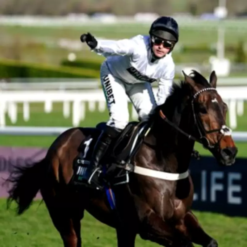 Constitution Hill's Flat Debut: A Tactical Move for Cheltenham Glory