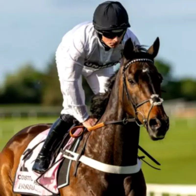 Constitution Hill's Flat Debut at Risk as Square Necker Tipped for Southwell Upset