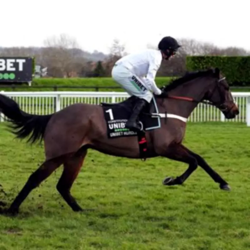 Constitution Hill's Flat Debut at Southwell: A Bold Move to Revive Hurdling Career