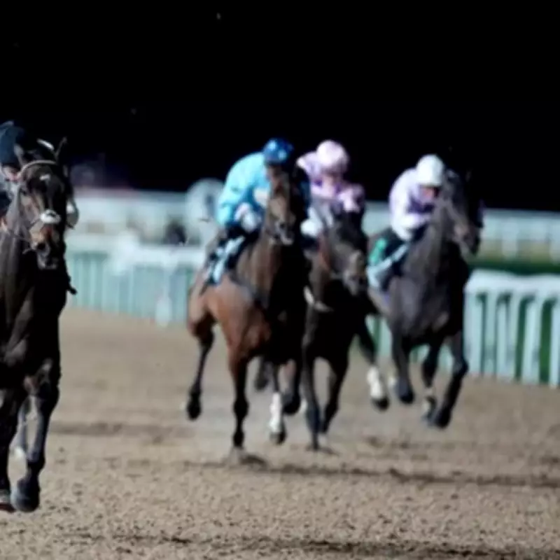 Constitution Hill's Flat Debut Sparks 'Extraordinary' Betting Surge at Southwell
