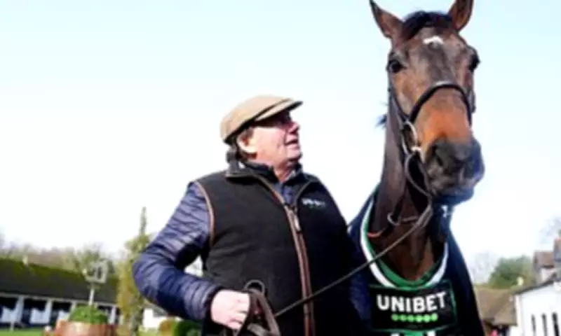 Constitution Hill's Intensive Schooling Fuels Champion Hurdle Ambition