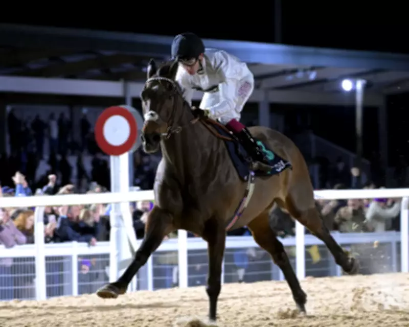 Constitution Hill's Southwell Triumph Ignites Hope for Racing's Future