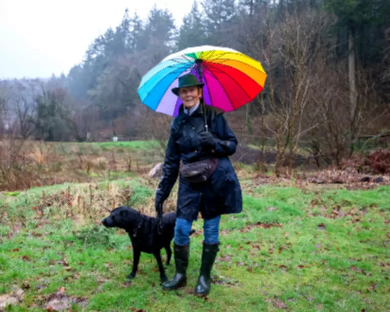 Cornish Village Endures 41 Days of Rain, Residents Consider Building an Ark