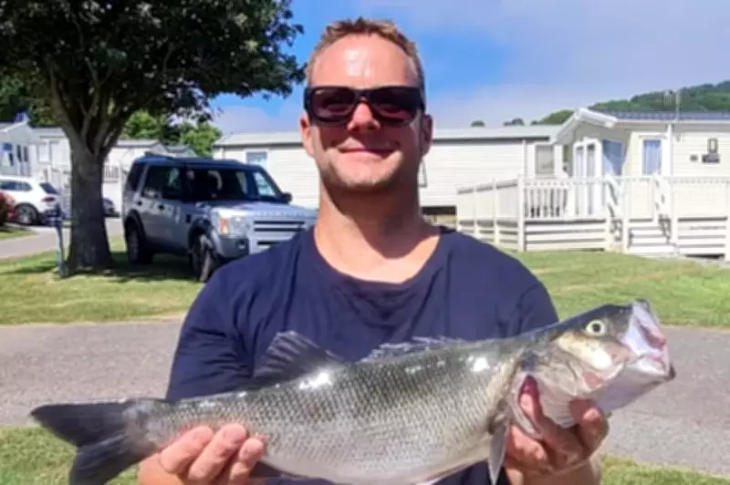 Coroner Orders Safety Review of Wembley Stadium Barriers After Oasis Fan's Death