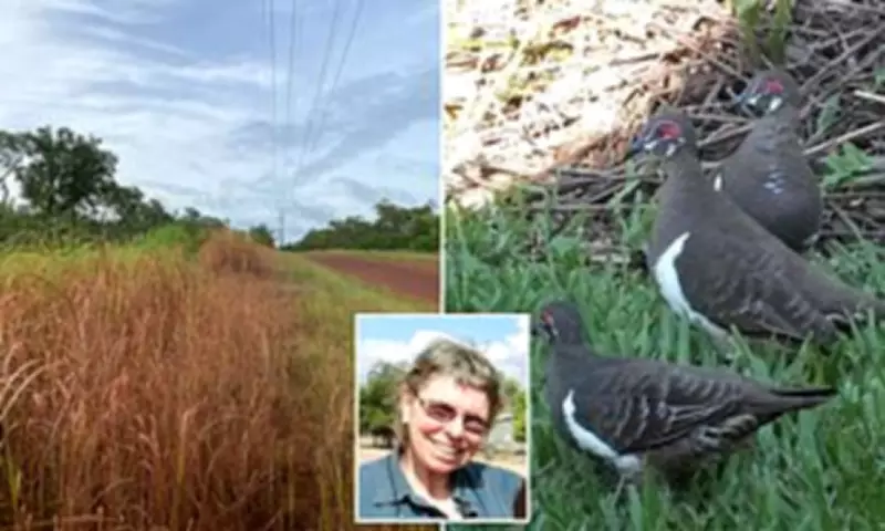 Council Accused of Destroying Vulnerable Bird Habitat with Weed Killer