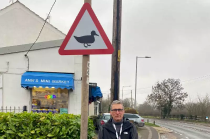 Councillor Slams £7,000 Duck Crossing Sign as 'Ridiculous' Waste of Money