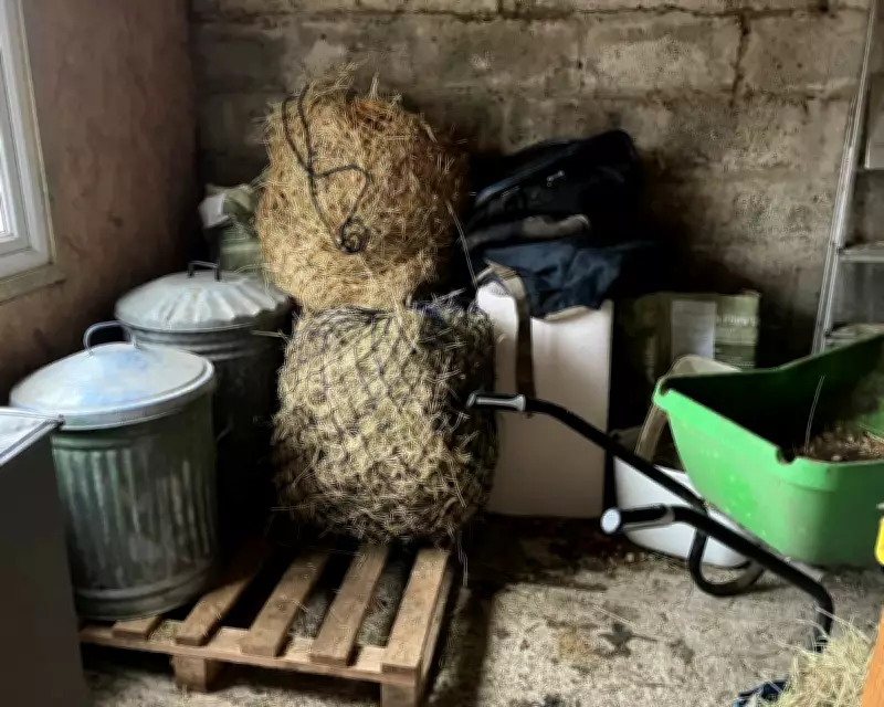 Country Diary: Hay Stocks Running Low as Last Year's Drought Lingers