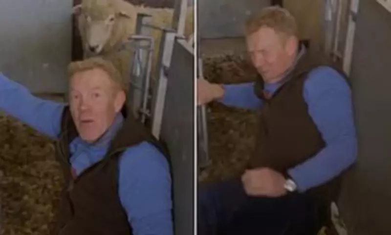 Countryfile's Adam Henson Swears After Being Headbutted by 'Powerful' Ram