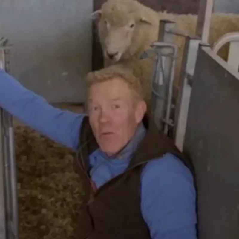 Countryfile's Adam Henson Swears After Painful Sheep Blunder