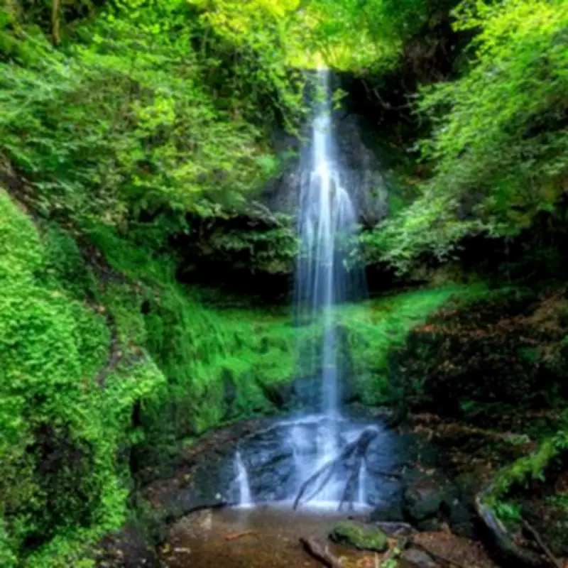 Craigie Linn: Scotland's Fairytale Waterfall Shines in Winter's Grip