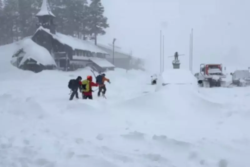 Criminal Negligence Probe Launched After Deadly Lake Tahoe Avalanche