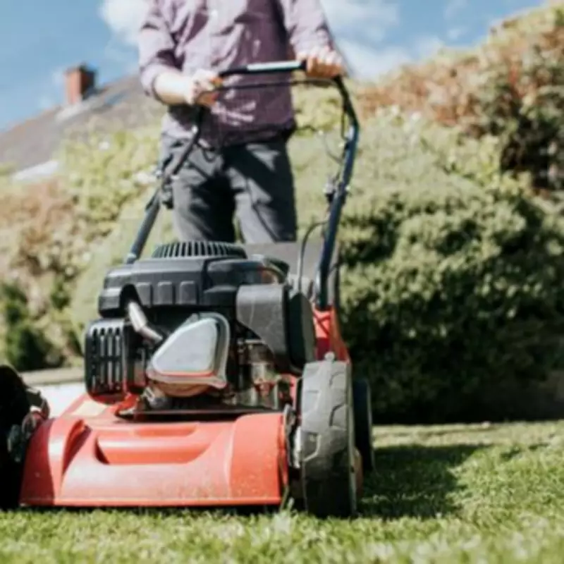 Dad's fury as neighbour sends sarcastic lawn mowing 'congratulations' note