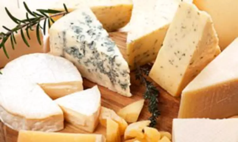 Daily Cheese Consumption Could Slash Gallstone Risk by Over 26%, Study Reveals