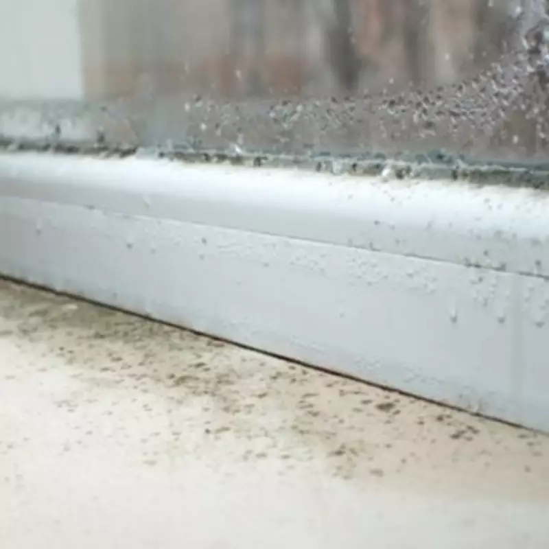 Daily 'House Burping' Essential to Combat Winter Condensation
