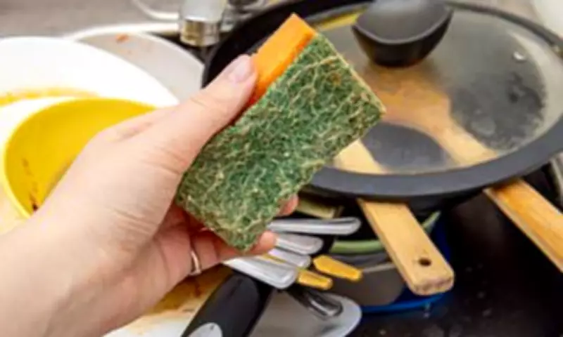 Daily Kitchen Sponge Changes Urged by Microbiology Expert After Study