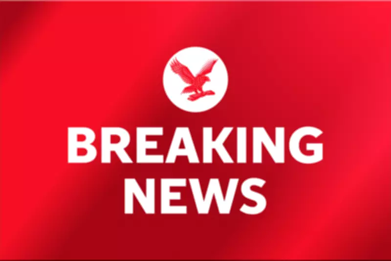 Danone Recalls Baby Formula Batches Amid Toxin Poisoning Fears