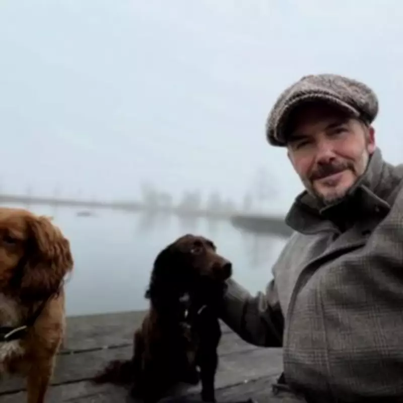 David Beckham's Solo Dog Walk Amid Brooklyn's Explosive Family Claims